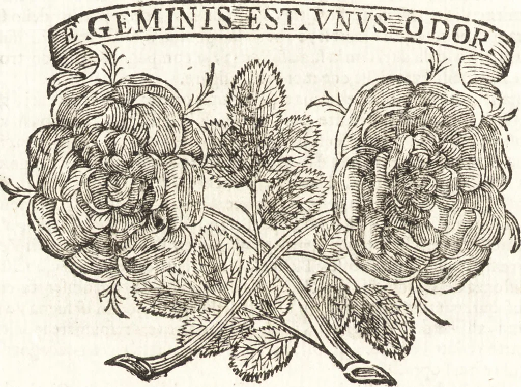 An illustration from Felsina pittrice : vite de pittori bolognesi, 1678, leaf 555