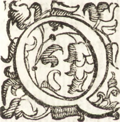 An illustration from Felsina pittrice : vite de pittori bolognesi, 1678, leaf 148