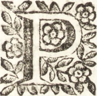 An illustration from Felsina pittrice : vite de pittori bolognesi, 1678, leaf 246