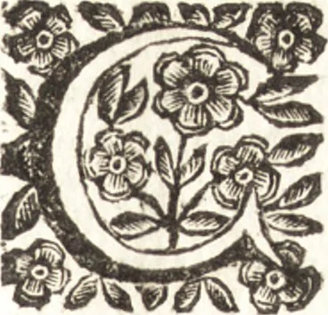 An illustration from Felsina pittrice : vite de pittori bolognesi, 1678, leaf 474