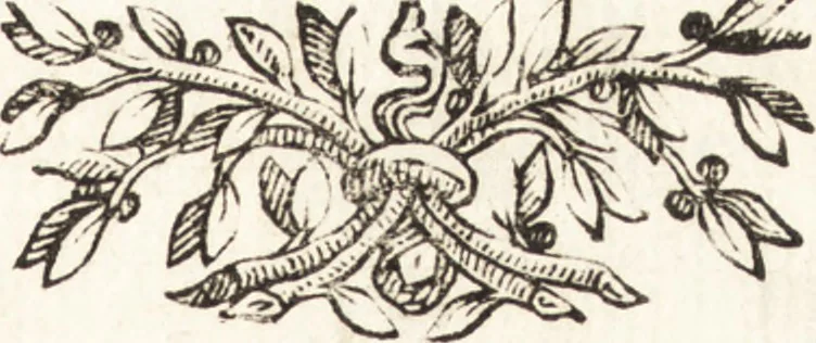 An illustration from Felsina pittrice : vite de pittori bolognesi, 1678, leaf 6