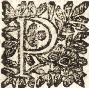 An illustration from Le finezze de pennelli italiani, ammirate e studiate da Girupeno sotta la scorta e disciplina del genio di Raffaello d'Vrbino : con vna curiosa ed' attentissima osseruatione di tutto ciò che facilmente possa riuscire d'vtile e di diletto à chi desidera rendersi perfetto nella teorica e practica della nobil'arte della pittura, 1674, leaf 113