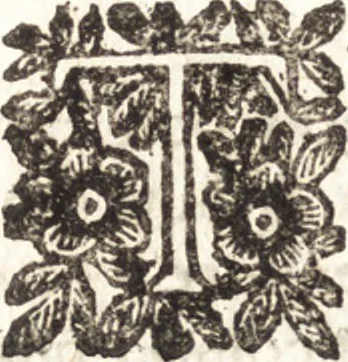 An illustration from Le finezze de pennelli italiani, ammirate e studiate da Girupeno sotta la scorta e disciplina del genio di Raffaello d'Vrbino : con vna curiosa ed' attentissima osseruatione di tutto ciò che facilmente possa riuscire d'vtile e di diletto à chi desidera rendersi perfetto nella teorica e practica della nobil'arte della pittura, 1674, leaf 17