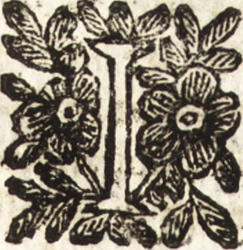 An illustration from Le finezze de pennelli italiani, ammirate e studiate da Girupeno sotta la scorta e disciplina del genio di Raffaello d'Vrbino : con vna curiosa ed' attentissima osseruatione di tutto ciò che facilmente possa riuscire d'vtile e di diletto à chi desidera rendersi perfetto nella teorica e practica della nobil'arte della pittura, 1674, leaf 175
