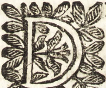 An illustration from Le finezze de pennelli italiani, ammirate e studiate da Girupeno sotta la scorta e disciplina del genio di Raffaello d'Vrbino : con vna curiosa ed' attentissima osseruatione di tutto ciò che facilmente possa riuscire d'vtile e di diletto à chi desidera rendersi perfetto nella teorica e practica della nobil'arte della pittura, 1674, leaf 177