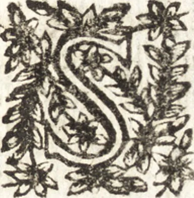 An illustration from Le finezze de pennelli italiani, ammirate e studiate da Girupeno sotta la scorta e disciplina del genio di Raffaello d'Vrbino : con vna curiosa ed' attentissima osseruatione di tutto ciò che facilmente possa riuscire d'vtile e di diletto à chi desidera rendersi perfetto nella teorica e practica della nobil'arte della pittura, 1674, leaf 18