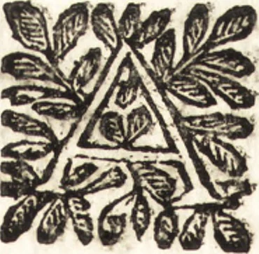 An illustration from Le finezze de pennelli italiani, ammirate e studiate da Girupeno sotta la scorta e disciplina del genio di Raffaello d'Vrbino : con vna curiosa ed' attentissima osseruatione di tutto ciò che facilmente possa riuscire d'vtile e di diletto à chi desidera rendersi perfetto nella teorica e practica della nobil'arte della pittura, 1674, leaf 181