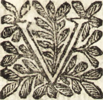 An illustration from Le finezze de pennelli italiani, ammirate e studiate da Girupeno sotta la scorta e disciplina del genio di Raffaello d'Vrbino : con vna curiosa ed' attentissima osseruatione di tutto ciò che facilmente possa riuscire d'vtile e di diletto à chi desidera rendersi perfetto nella teorica e practica della nobil'arte della pittura, 1674, leaf 216