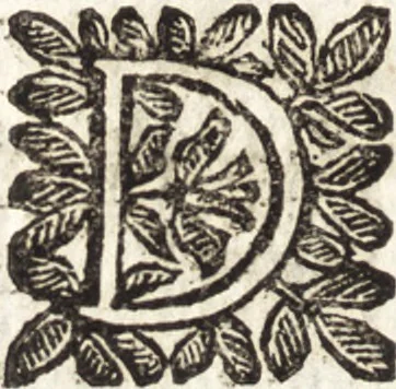 An illustration from Le finezze de pennelli italiani, ammirate e studiate da Girupeno sotta la scorta e disciplina del genio di Raffaello d'Vrbino : con vna curiosa ed' attentissima osseruatione di tutto ciò che facilmente possa riuscire d'vtile e di diletto à chi desidera rendersi perfetto nella teorica e practica della nobil'arte della pittura, 1674, leaf 217