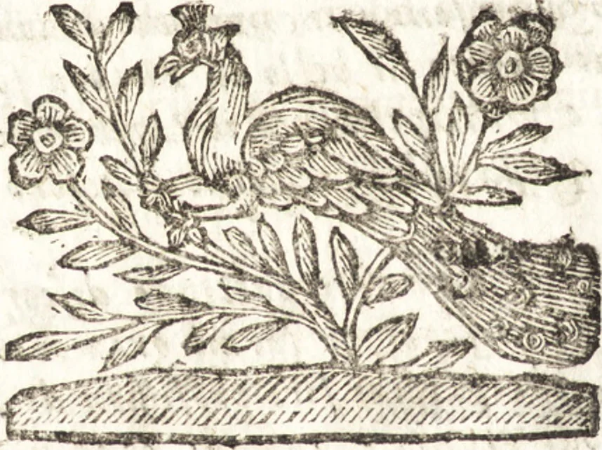 An illustration from Le finezze de pennelli italiani, ammirate e studiate da Girupeno sotta la scorta e disciplina del genio di Raffaello d'Vrbino : con vna curiosa ed' attentissima osseruatione di tutto ciò che facilmente possa riuscire d'vtile e di diletto à chi desidera rendersi perfetto nella teorica e practica della nobil'arte della pittura, 1674, leaf 27