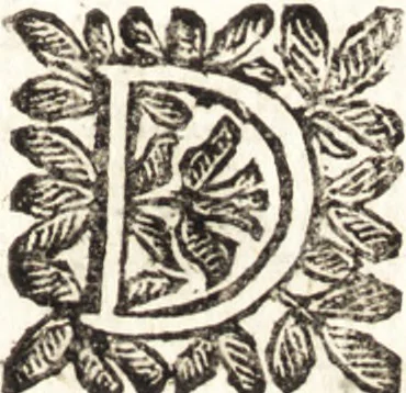 An illustration from Le finezze de pennelli italiani, ammirate e studiate da Girupeno sotta la scorta e disciplina del genio di Raffaello d'Vrbino : con vna curiosa ed' attentissima osseruatione di tutto ciò che facilmente possa riuscire d'vtile e di diletto à chi desidera rendersi perfetto nella teorica e practica della nobil'arte della pittura, 1674, leaf 30