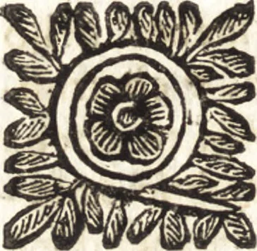 An illustration from Le finezze de pennelli italiani, ammirate e studiate da Girupeno sotta la scorta e disciplina del genio di Raffaello d'Vrbino : con vna curiosa ed' attentissima osseruatione di tutto ciò che facilmente possa riuscire d'vtile e di diletto à chi desidera rendersi perfetto nella teorica e practica della nobil'arte della pittura, 1674, leaf 33
