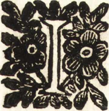 An illustration from Le finezze de pennelli italiani, ammirate e studiate da Girupeno sotta la scorta e disciplina del genio di Raffaello d'Vrbino : con vna curiosa ed' attentissima osseruatione di tutto ciò che facilmente possa riuscire d'vtile e di diletto à chi desidera rendersi perfetto nella teorica e practica della nobil'arte della pittura, 1674, leaf 35