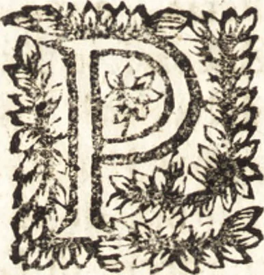 An illustration from Le finezze de pennelli italiani, ammirate e studiate da Girupeno sotta la scorta e disciplina del genio di Raffaello d'Vrbino : con vna curiosa ed' attentissima osseruatione di tutto ciò che facilmente possa riuscire d'vtile e di diletto à chi desidera rendersi perfetto nella teorica e practica della nobil'arte della pittura, 1674, leaf 39