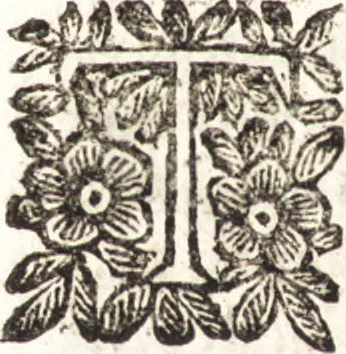 An illustration from Le finezze de pennelli italiani, ammirate e studiate da Girupeno sotta la scorta e disciplina del genio di Raffaello d'Vrbino : con vna curiosa ed' attentissima osseruatione di tutto ciò che facilmente possa riuscire d'vtile e di diletto à chi desidera rendersi perfetto nella teorica e practica della nobil'arte della pittura, 1674, leaf 63