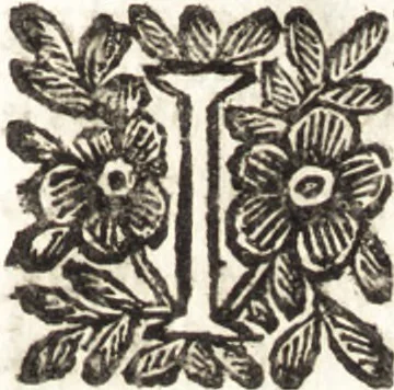 An illustration from Le finezze de pennelli italiani, ammirate e studiate da Girupeno sotta la scorta e disciplina del genio di Raffaello d'Vrbino : con vna curiosa ed' attentissima osseruatione di tutto ciò che facilmente possa riuscire d'vtile e di diletto à chi desidera rendersi perfetto nella teorica e practica della nobil'arte della pittura, 1674, leaf 66