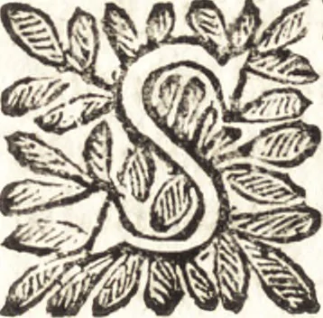 An illustration from Le finezze de pennelli italiani, ammirate e studiate da Girupeno sotta la scorta e disciplina del genio di Raffaello d'Vrbino : con vna curiosa ed' attentissima osseruatione di tutto ciò che facilmente possa riuscire d'vtile e di diletto à chi desidera rendersi perfetto nella teorica e practica della nobil'arte della pittura, 1674, leaf 89