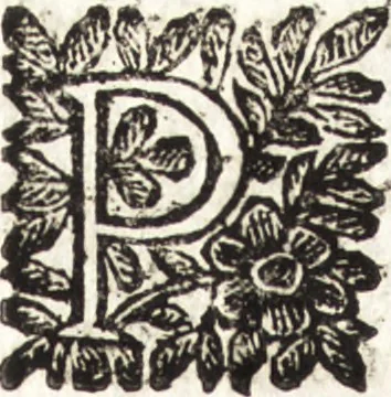 An illustration from Le finezze de pennelli italiani, ammirate e studiate da Girupeno sotta la scorta e disciplina del genio di Raffaello d'Vrbino : con vna curiosa ed' attentissima osseruatione di tutto ciò che facilmente possa riuscire d'vtile e di diletto à chi desidera rendersi perfetto nella teorica e practica della nobil'arte della pittura, 1674, leaf 95