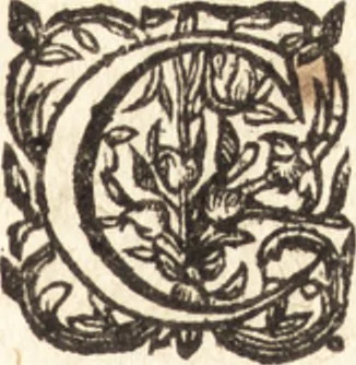 An illustration from La grande chronique ancienne et moderne de Hollande, Zelande, VVest-Frise, Vtrecht, Frise, Overyssel & Groeningen, jusques à la fin de l'an 1600, 1601, leaf 15