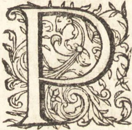 An illustration from La grande chronique ancienne et moderne de Hollande, Zelande, VVest-Frise, Vtrecht, Frise, Overyssel & Groeningen, jusques à la fin de l'an 1600, 1601, leaf 20