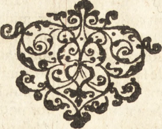 An illustration from La grande chronique ancienne et moderne de Hollande, Zelande, VVest-Frise, Vtrecht, Frise, Overyssel & Groeningen, jusques à la fin de l'an 1600, 1601, leaf 806