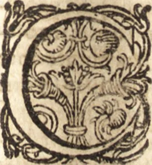 An illustration from Guilielmi Barclaii De potestate papae : an & quatenus in reges & principes seculares ius & imperium habeat liber posthumus ; eiusdem De Regno et regali potestate, aduersus Buchananum, Brutum, Boucherium, & reliquos monarchomachos libri VI, 1617, leaf 184