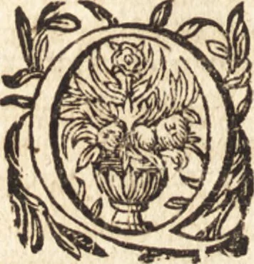 An illustration from Guilielmi Barclaii De potestate papae : an & quatenus in reges & principes seculares ius & imperium habeat liber posthumus ; eiusdem De Regno et regali potestate, aduersus Buchananum, Brutum, Boucherium, & reliquos monarchomachos libri VI, 1617, leaf 319