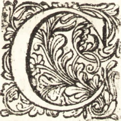 An illustration from Hieronymi Mercurialis Foroliviensis De arte gymnastica libri sex : in quibus exercitationum omnium vetustarum genera, loca, modi, facultates, & quidquid denique ad corporis humani exercitationes pertinet diligenter explicatur, 1672, leaf 10