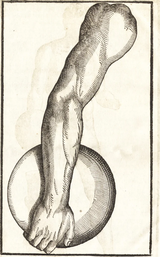 An illustration from Hieronymi Mercurialis Foroliviensis De arte gymnastica libri sex : in quibus exercitationum omnium vetustarum genera, loca, modi, facultates, & quidquid denique ad corporis humani exercitationes pertinet diligenter explicatur, 1672, leaf 189