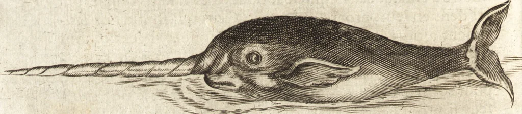 An illustration from Histoire naturelle et morale des iles Antilles de l'Amerique : enrichie de plusieurs belles figures des raretez les plus considerables qui y sont d'écrites : avec un vocabulaire caraibe, 1658, leaf 205
