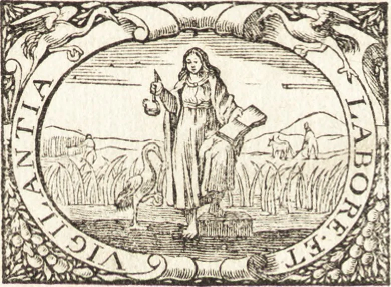 An illustration from Histoire naturelle et morale des iles Antilles de l'Amerique : enrichie de plusieurs belles figures des raretez les plus considerables qui y sont d'écrites : avec un vocabulaire caraibe, 1658, leaf 6