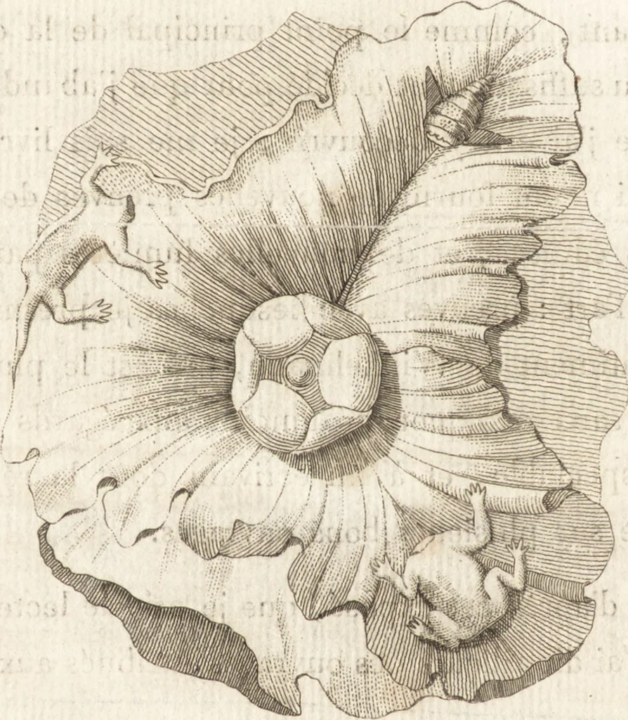 An illustration from Histoire de l'art chez les anciens, 1793, leaf 533