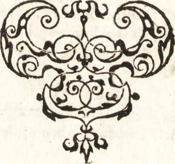 An illustration from Historia navigationis in Brasiliam quae et America dicitvr : qua describitvr avthoris navigatio, quaeque in mari vidit memoriae prodenda, Villagagnonis in America gesta : Brasiliensium victus & mores, à nostris admodum alieni, cum eorum linguae dialogo : animalia etiam, arbores atque herbae, reliquaque singularia & nobis penitus incognita, 1594, leaf 16