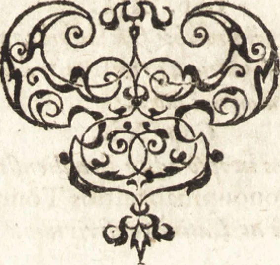 An illustration from Historia navigationis in Brasiliam quae et America dicitvr : qua describitvr avthoris navigatio, quaeque in mari vidit memoriae prodenda, Villagagnonis in America gesta : Brasiliensium victus & mores, à nostris admodum alieni, cum eorum linguae dialogo : animalia etiam, arbores atque herbae, reliquaque singularia & nobis penitus incognita, 1594, leaf 19