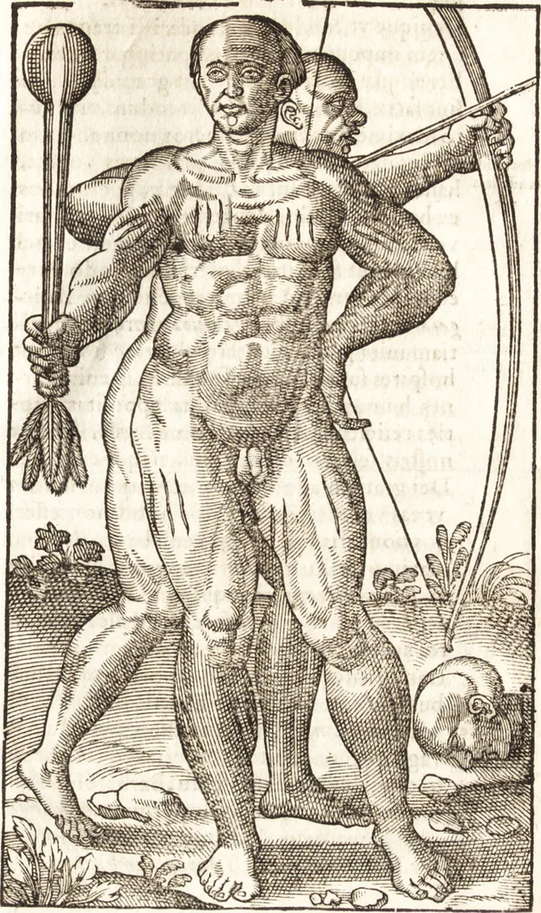 An illustration from Historia navigationis in Brasiliam quae et America dicitvr : qua describitvr avthoris navigatio, quaeque in mari vidit memoriae prodenda, Villagagnonis in America gesta : Brasiliensium victus & mores, à nostris admodum alieni, cum eorum linguae dialogo : animalia etiam, arbores atque herbae, reliquaque singularia & nobis penitus incognita, 1594, leaf 252