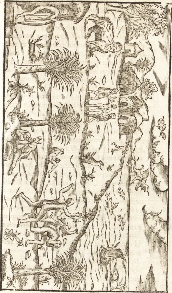 An illustration from Historia navigationis in Brasiliam quae et America dicitvr : qua describitvr avthoris navigatio, quaeque in mari vidit memoriae prodenda, Villagagnonis in America gesta : Brasiliensium victus & mores, à nostris admodum alieni, cum eorum linguae dialogo : animalia etiam, arbores atque herbae, reliquaque singularia & nobis penitus incognita, 1594, leaf 284