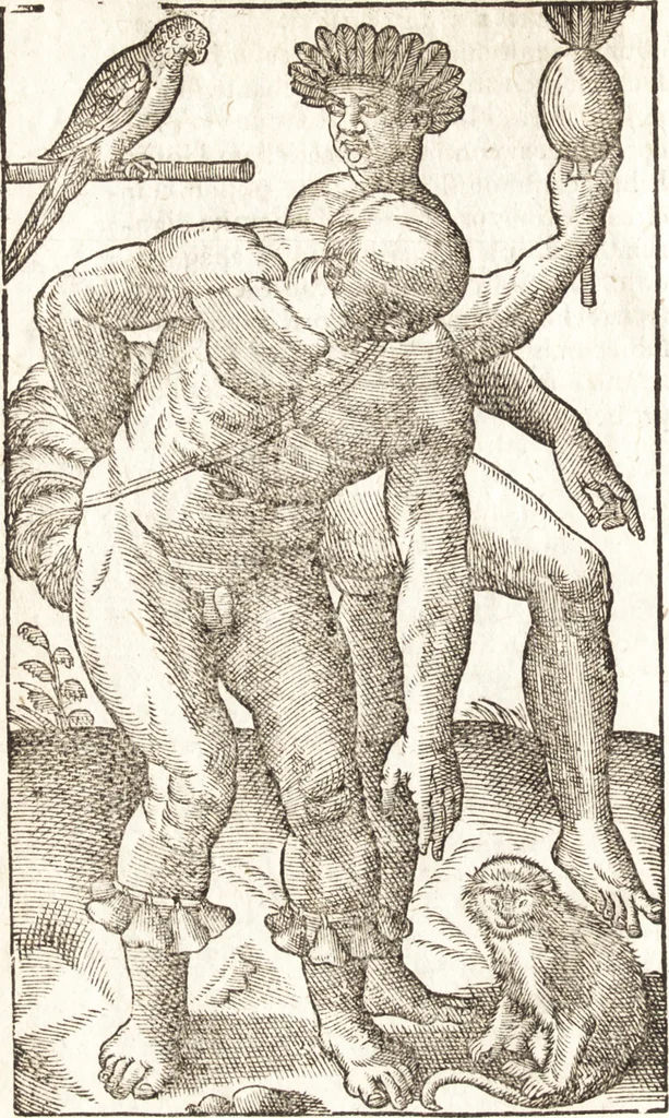 An illustration from Historia navigationis in Brasiliam quae et America dicitvr : qua describitvr avthoris navigatio, quaeque in mari vidit memoriae prodenda, Villagagnonis in America gesta : Brasiliensium victus & mores, à nostris admodum alieni, cum eorum linguae dialogo : animalia etiam, arbores atque herbae, reliquaque singularia & nobis penitus incognita, 1594, leaf 295