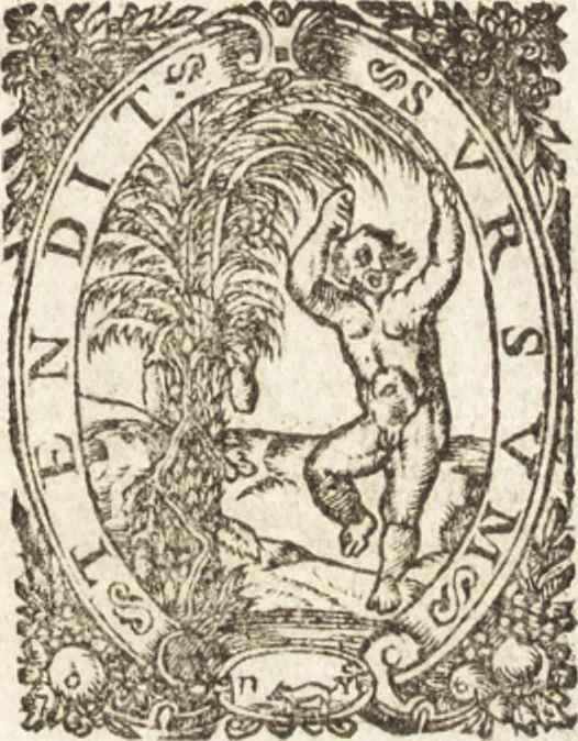 An illustration from Historia navigationis in Brasiliam quae et America dicitvr : qua describitvr avthoris navigatio, quaeque in mari vidit memoriae prodenda, Villagagnonis in America gesta : Brasiliensium victus & mores, à nostris admodum alieni, cum eorum linguae dialogo : animalia etiam, arbores atque herbae, reliquaque singularia & nobis penitus incognita, 1594, leaf 432