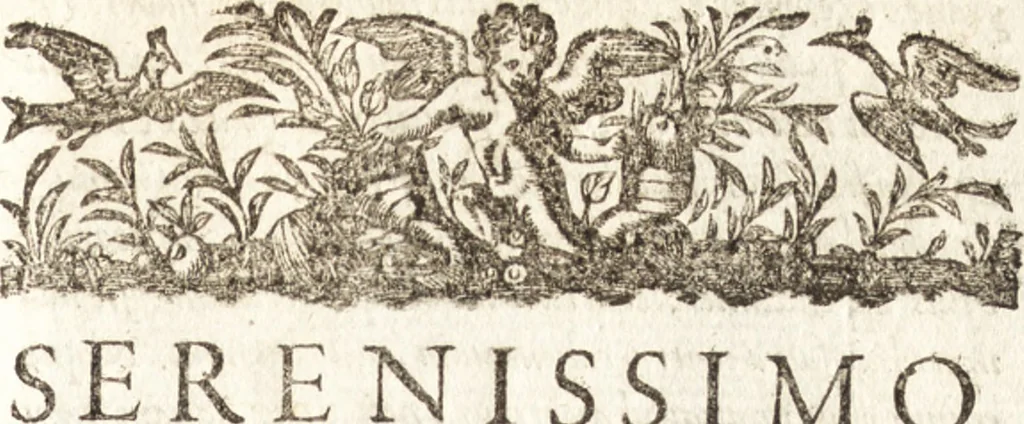 An illustration from Historia navigationis in Brasiliam quae et America dicitvr : qua describitvr avthoris navigatio, quaeque in mari vidit memoriae prodenda, Villagagnonis in America gesta : Brasiliensium victus & mores, à nostris admodum alieni, cum eorum linguae dialogo : animalia etiam, arbores atque herbae, reliquaque singularia & nobis penitus incognita, 1594, leaf 434