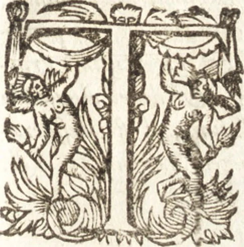 An illustration from Historia navigationis in Brasiliam quae et America dicitvr : qua describitvr avthoris navigatio, quaeque in mari vidit memoriae prodenda, Villagagnonis in America gesta : Brasiliensium victus & mores, à nostris admodum alieni, cum eorum linguae dialogo : animalia etiam, arbores atque herbae, reliquaque singularia & nobis penitus incognita, 1594, leaf 434