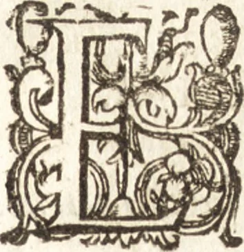 An illustration from Historia navigationis in Brasiliam quae et America dicitvr : qua describitvr avthoris navigatio, quaeque in mari vidit memoriae prodenda, Villagagnonis in America gesta : Brasiliensium victus & mores, à nostris admodum alieni, cum eorum linguae dialogo : animalia etiam, arbores atque herbae, reliquaque singularia & nobis penitus incognita, 1594, leaf 436