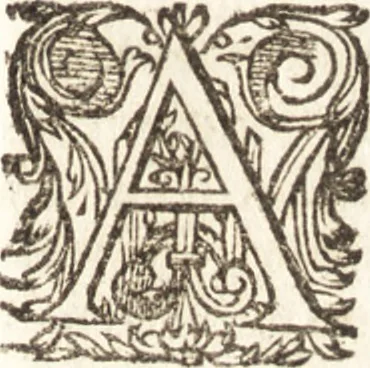 An illustration from Historia navigationis in Brasiliam quae et America dicitvr : qua describitvr avthoris navigatio, quaeque in mari vidit memoriae prodenda, Villagagnonis in America gesta : Brasiliensium victus & mores, à nostris admodum alieni, cum eorum linguae dialogo : animalia etiam, arbores atque herbae, reliquaque singularia & nobis penitus incognita, 1594, leaf 438