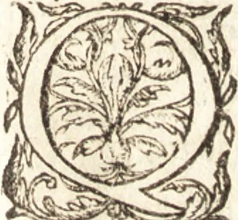An illustration from Historia navigationis in Brasiliam quae et America dicitvr : qua describitvr avthoris navigatio, quaeque in mari vidit memoriae prodenda, Villagagnonis in America gesta : Brasiliensium victus & mores, à nostris admodum alieni, cum eorum linguae dialogo : animalia etiam, arbores atque herbae, reliquaque singularia & nobis penitus incognita, 1594, leaf 532