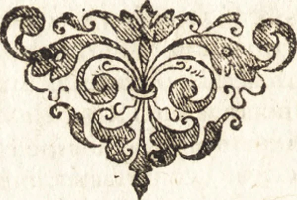 An illustration from Historia navigationis in Brasiliam quae et America dicitvr : qua describitvr avthoris navigatio, quaeque in mari vidit memoriae prodenda, Villagagnonis in America gesta : Brasiliensium victus & mores, à nostris admodum alieni, cum eorum linguae dialogo : animalia etiam, arbores atque herbae, reliquaque singularia & nobis penitus incognita, 1594, leaf 57