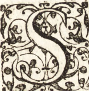 An illustration from Historia navigationis in Brasiliam quae et America dicitvr : qua describitvr avthoris navigatio, quaeque in mari vidit memoriae prodenda, Villagagnonis in America gesta : Brasiliensium victus & mores, à nostris admodum alieni, cum eorum linguae dialogo : animalia etiam, arbores atque herbae, reliquaque singularia & nobis penitus incognita, 1594, leaf 8