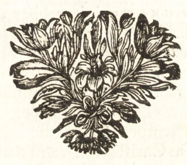 An illustration from Hugo Grotius De veritate religionis Christianae, 1709, leaf 102