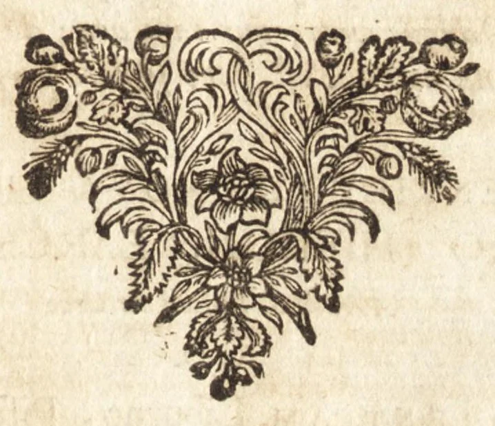 An illustration from Hugo Grotius De veritate religionis Christianae, 1709, leaf 358