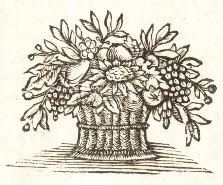 An illustration from Hugo Grotius De veritate religionis Christianae, 1709, leaf 6