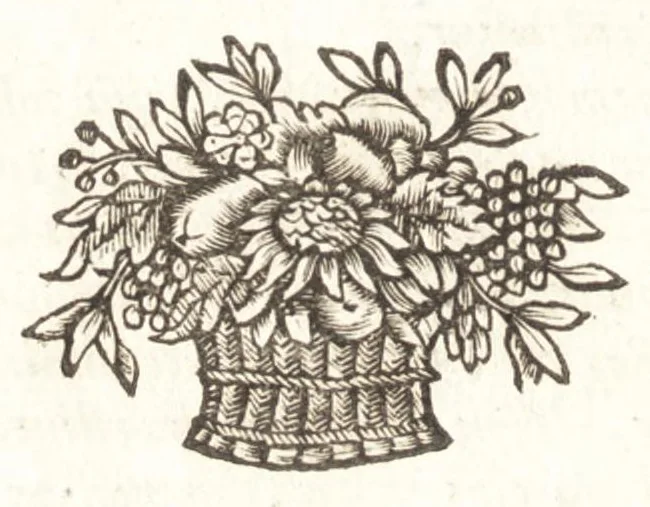 An illustration from Hugo Grotius De veritate religionis Christianae, 1709, leaf 9