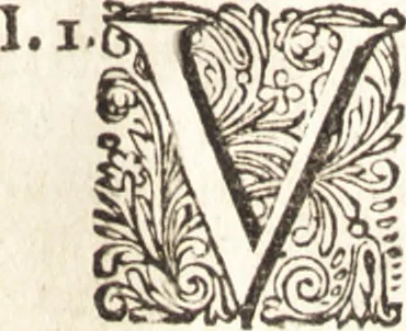 An illustration from Hugonis Grotii De jure belli ac pacis libri tres : in quibus jus naturae & gentium, item juris publici praecipua explicantur, 1670, leaf 128
